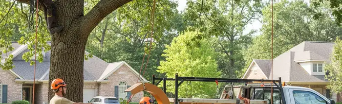 Tree service crew in Spokane, WA providing professional tree removal for a home exterior