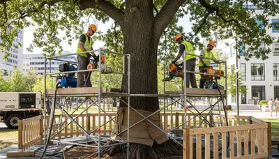 Root protection service in Spokane, WA for healthier trees and safer landscapes