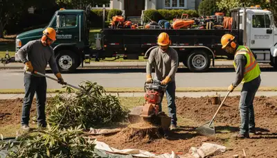 Shrub removal crew clearing overgrown bushes in Spokane, WA for a safe, efficient yard cleanup