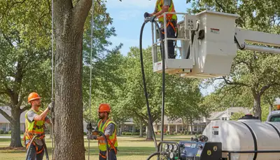 Arborist applying tree fertilizer in Spokane, WA for healthier roots and stronger growth