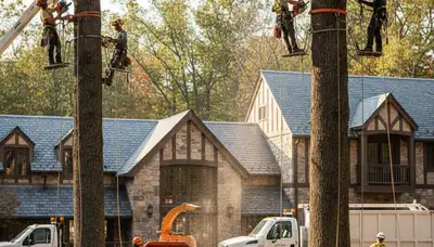 Spokane, WA tree service crew performing professional tree removal for a local business site