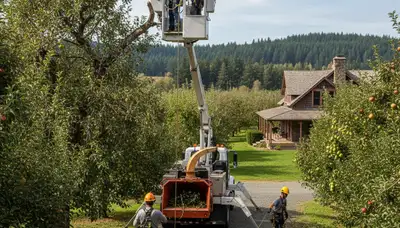 Tree service crew in Spokane, WA providing professional tree removal and trimming for local properties